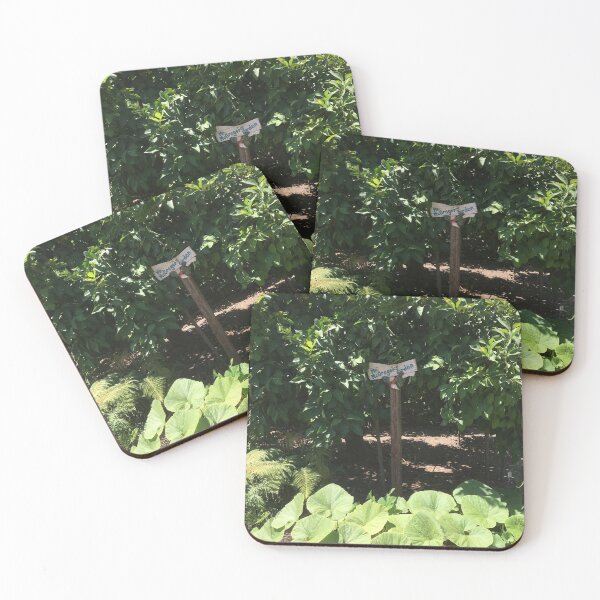 Item preview, "Mr. McGregor's Garden" in children's garden designed and sold by Rita Kindle.