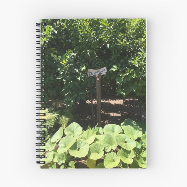 Item preview, "Mr. McGregor's Garden" in children's garden designed and sold by Rita Kindle.