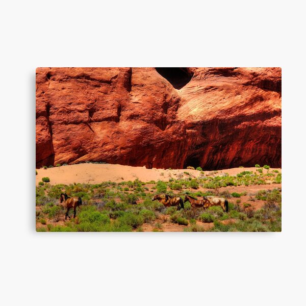 Wild Horse Herd Canvas Print