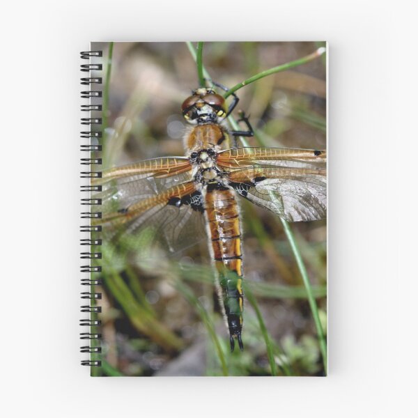 Item preview, Mating Dragonflies designed and sold by Larry Trupp.