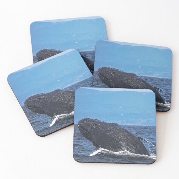 Item preview, Humpback designed and sold by Selena Rivera.