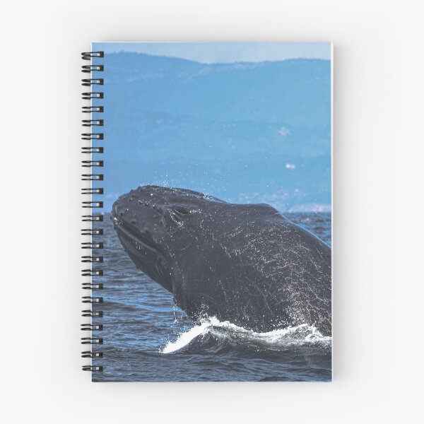 Item preview, Humpback designed and sold by Selena Rivera.