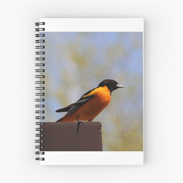Item preview, NORTHERN ORIOLE designed and sold by Larry Trupp.