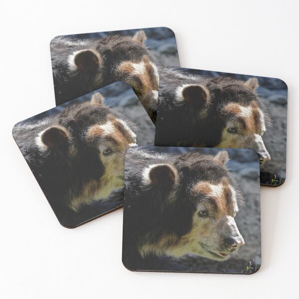 Item preview, Andean Bear designed and sold by Savannah Gibbs.