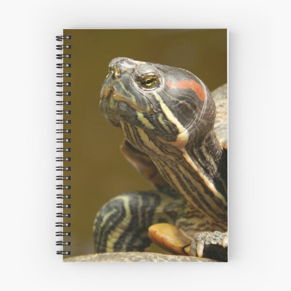 Item preview, Red-Eared Terrapin Close-up designed and sold by wallcat.