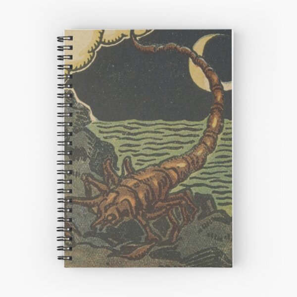 Item preview, French Tarot Scorpion designed and sold by BlueSpecsStudio.