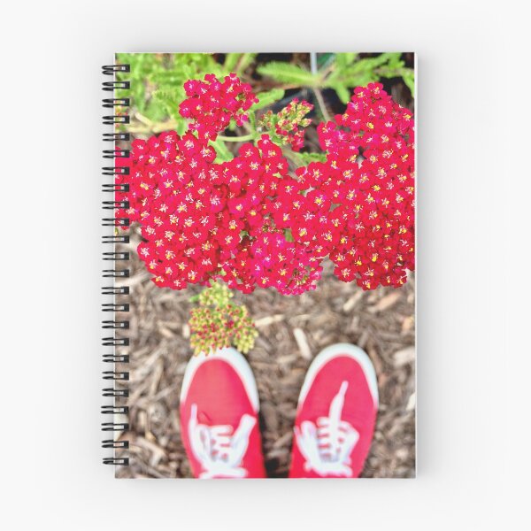 Item preview, Ruby Red Yarrow Achillea designed and sold by mamamur.