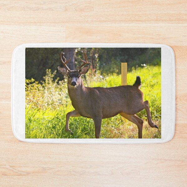 Item preview, Strutting Black tailed buck.... designed and sold by RichImage.