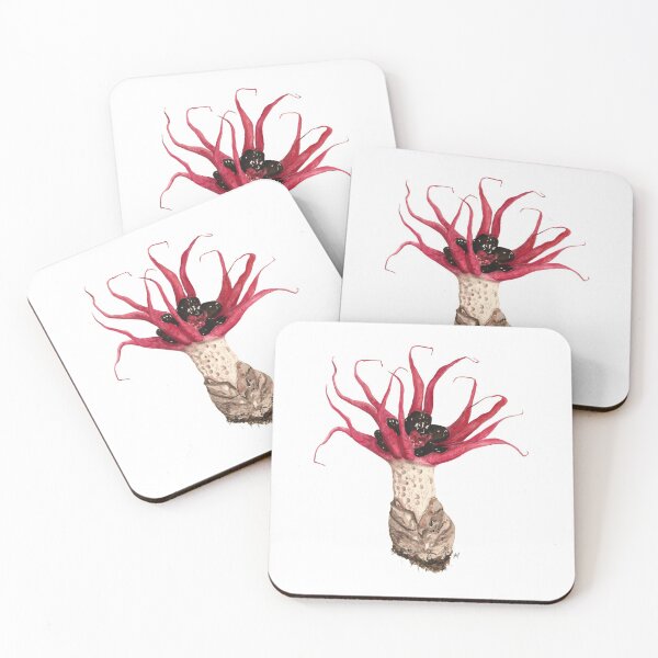 Item preview, Asroe rubra designed and sold by BiosecurityColl.