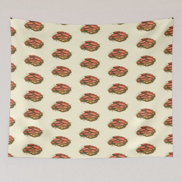 Item preview, Cheilymenia coprinaria designed and sold by BiosecurityColl.