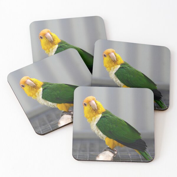 Item preview, White-bellied Caique  designed and sold by AviarylifeMag.