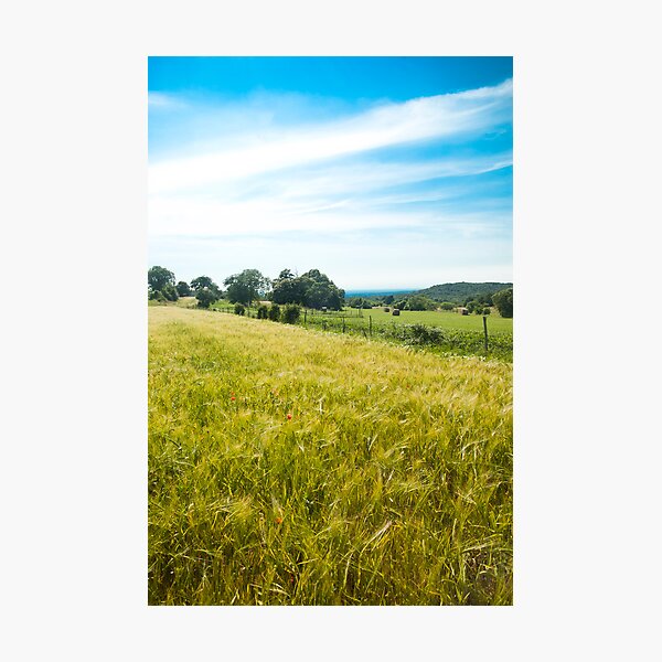 Item preview, Young Grain Field designed and sold by Blaz Erzetic.