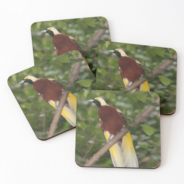 Item preview, Bird-of-paradise  designed and sold by AviarylifeMag.