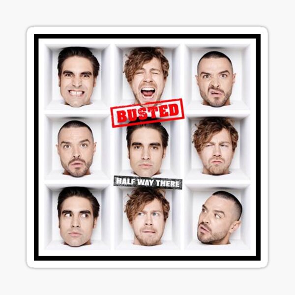 busted Sticker