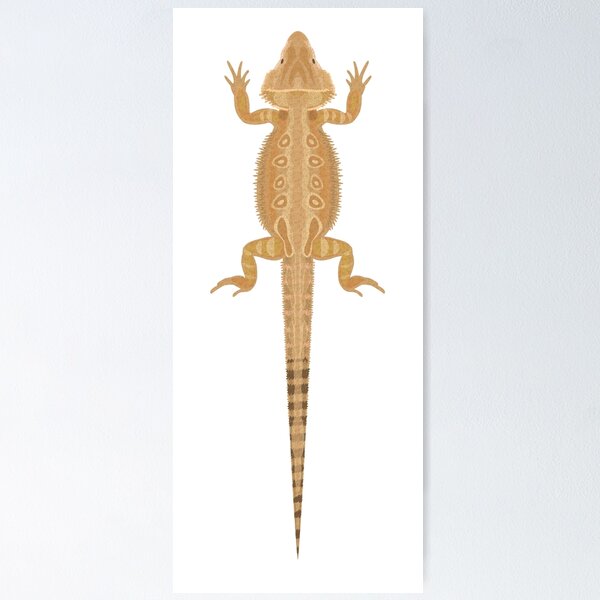 Item preview, Bearded dragon designed and sold by An Nuttin.