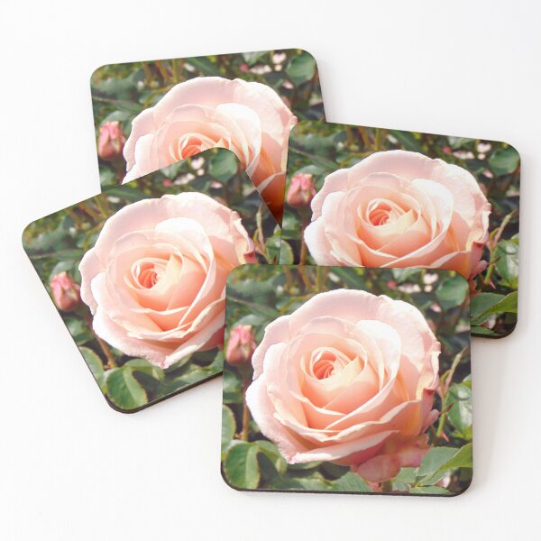 Item preview, Pink rose designed and sold by KathleenDawson.