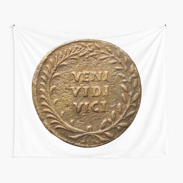 Veni, Vidi, Vici:  I came, I saw, I conquered Tapestry