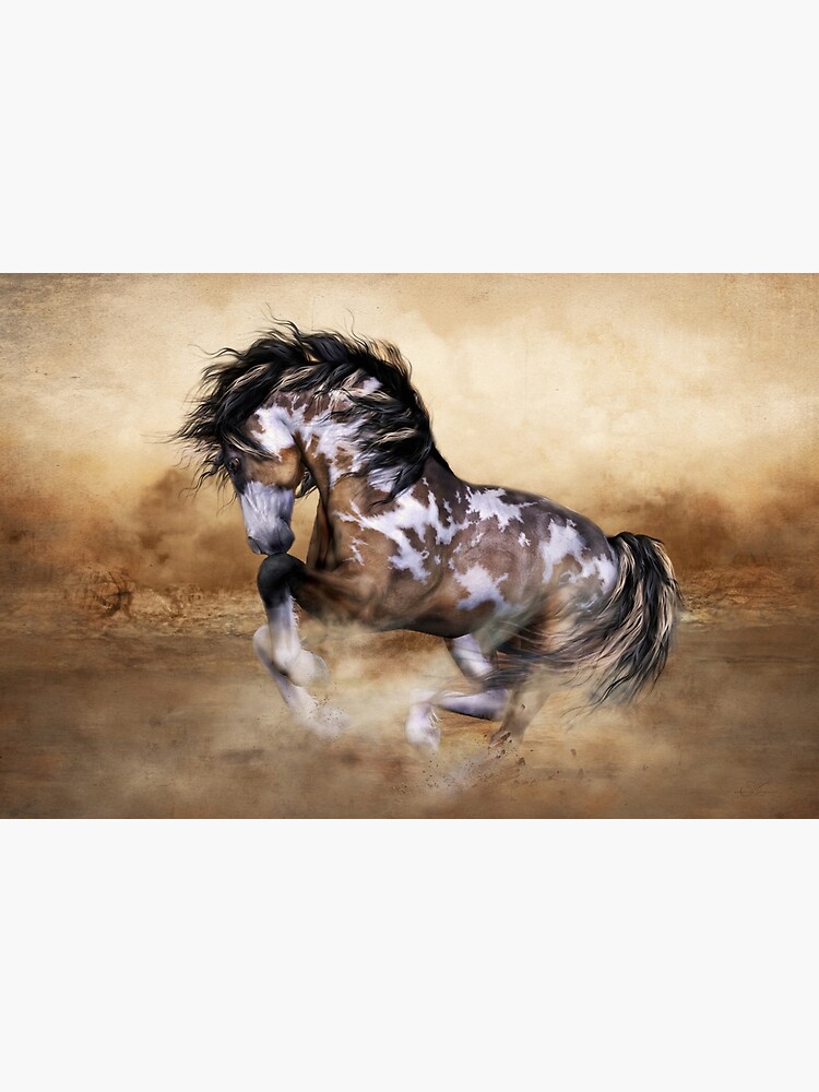 The Wild,The Free Painted Horse by Allegra