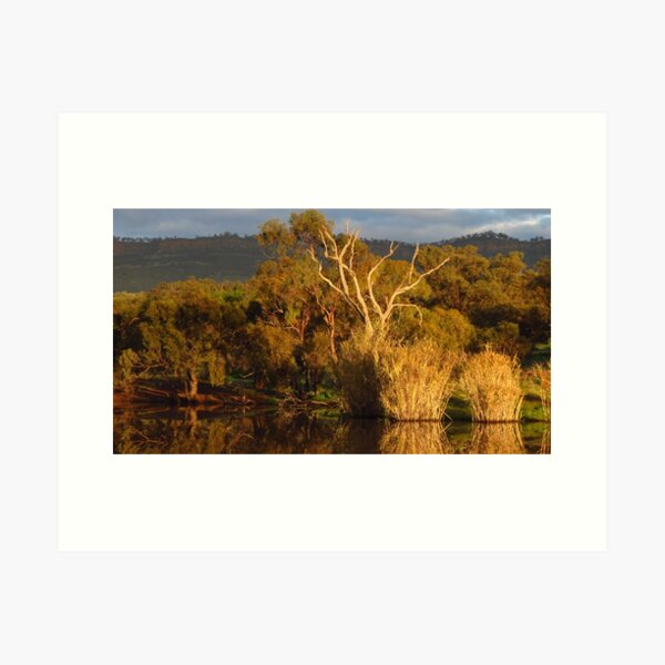 Item preview, Flinders Ranges Winter Reflection designed and sold by outbackjack.
