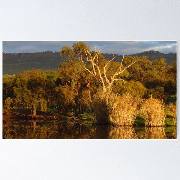 Item preview, Flinders Ranges Winter Reflection designed and sold by outbackjack.