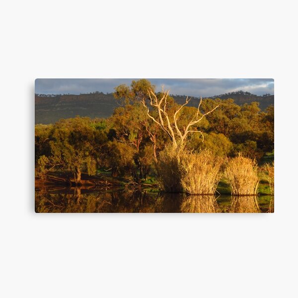 Item preview, Flinders Ranges Winter Reflection designed and sold by outbackjack.