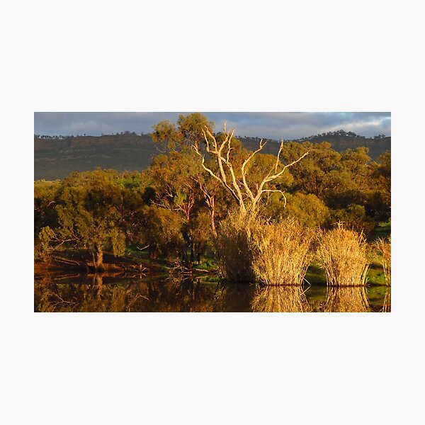 Item preview, Flinders Ranges Winter Reflection designed and sold by outbackjack.