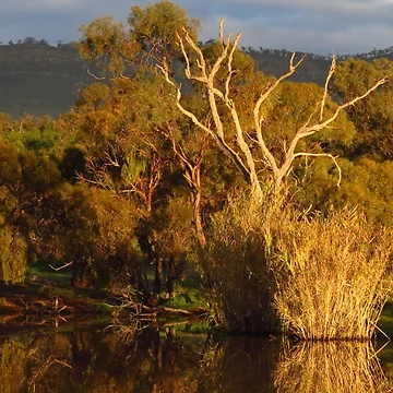 Artwork thumbnail, Flinders Ranges Winter Reflection by outbackjack