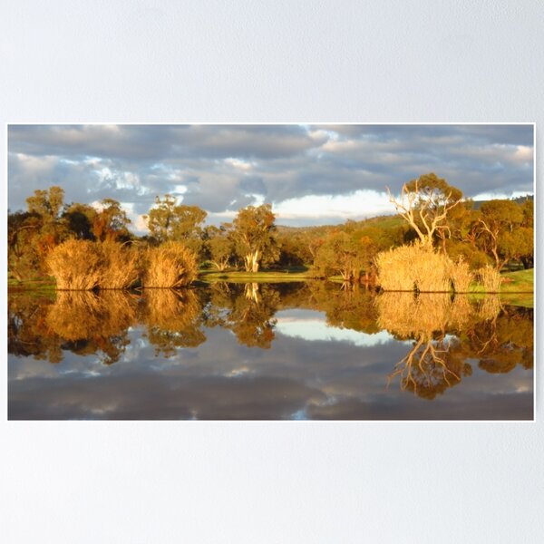 Item preview, Still Life in Nature designed and sold by outbackjack.
