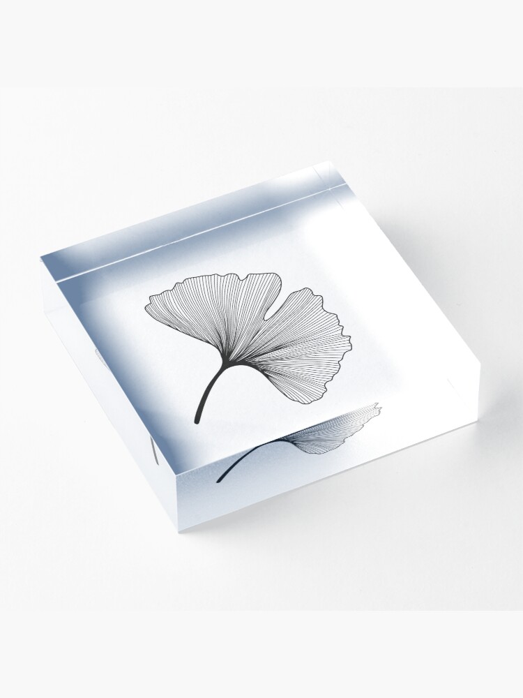 Alternate view of Ginkgo Biloba leaves pattern - black and white Acrylic Block