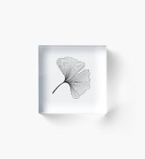 Bloque acrílico Patrón de hojas de Ginkgo Biloba - blanco y negro