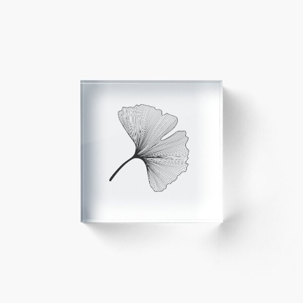 Ginkgo Biloba leaves pattern - black and white Acrylic Block