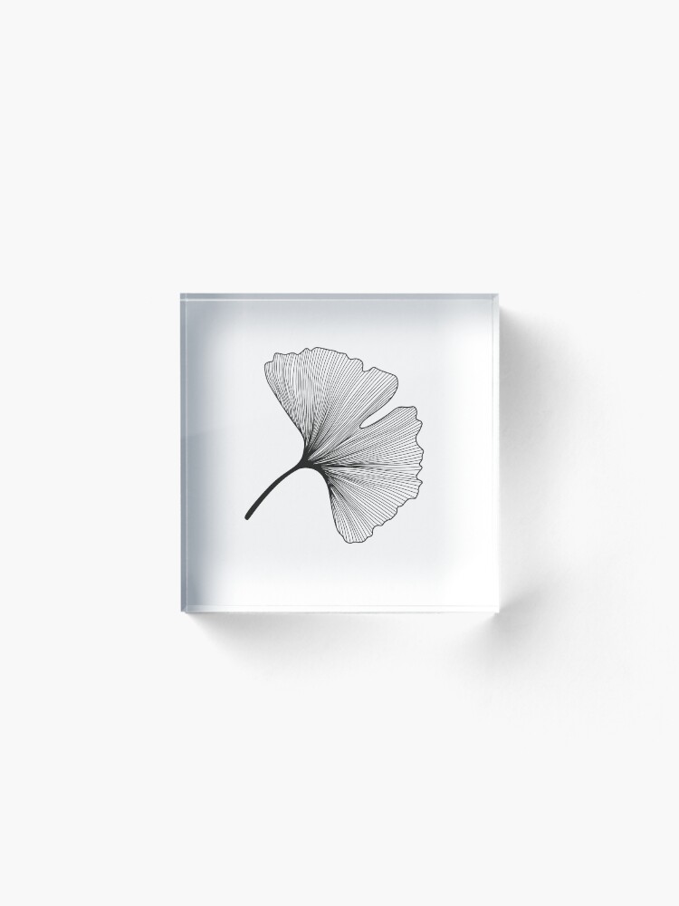 Alternate view of Ginkgo Biloba leaves pattern - black and white Acrylic Block