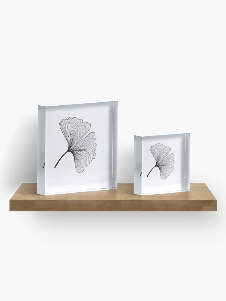 Alternate view of Ginkgo Biloba leaves pattern - black and white Acrylic Block