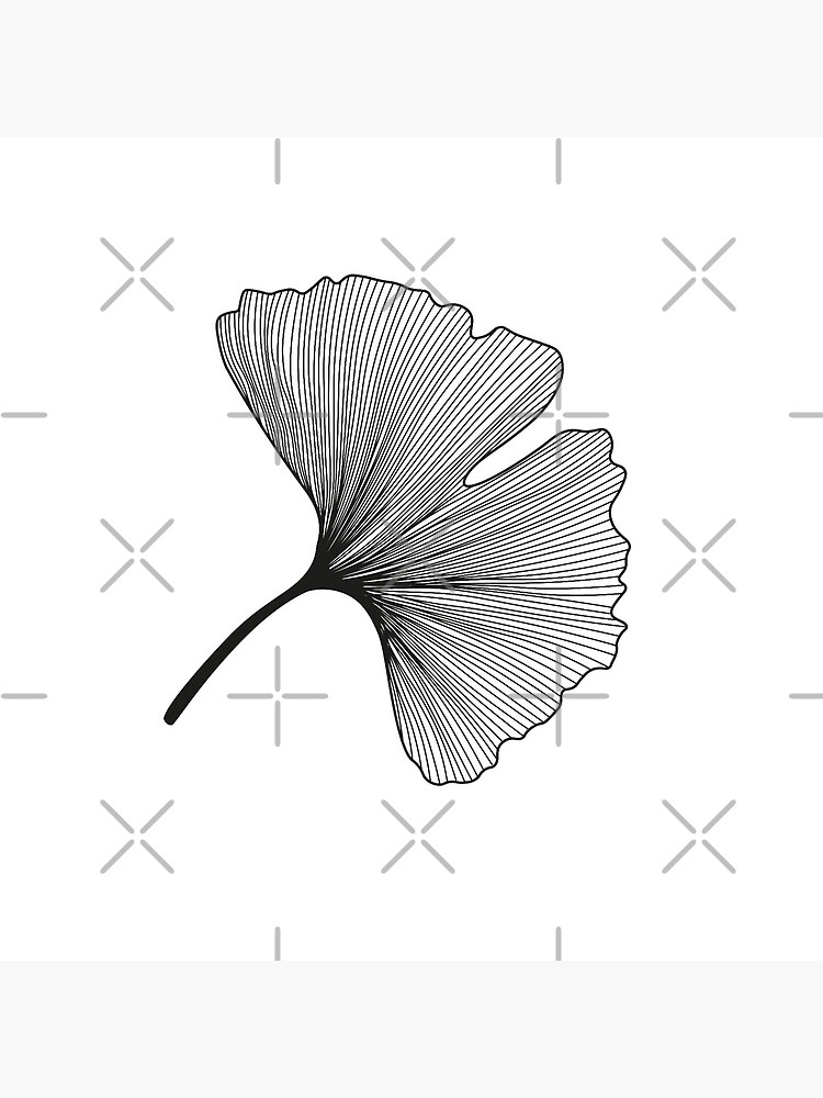 Ginkgo Biloba leaves pattern - black and white by PrintablesP