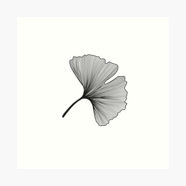 Ginkgo Biloba leaves pattern - black and white Art Print