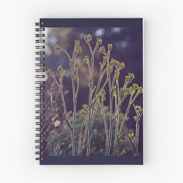 Item preview, Kangaroo Paw Illuminated III designed and sold by Cloudlingpics.