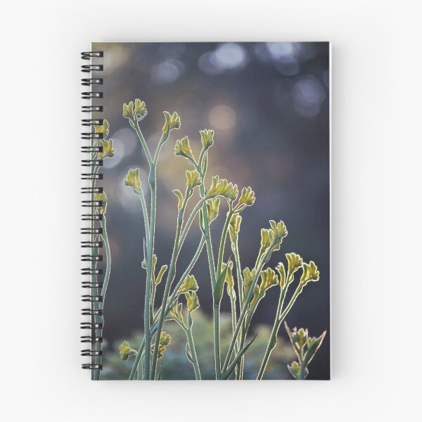 Item preview, Kangaroo Paw Illuminated IV designed and sold by Cloudlingpics.