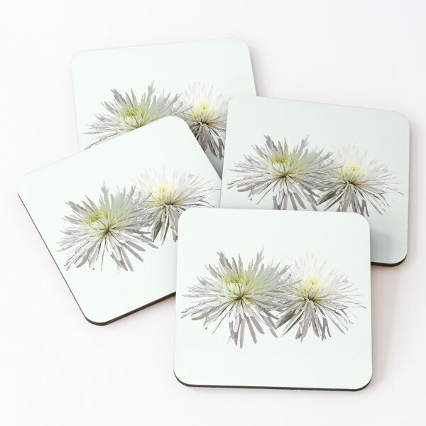 Item preview, Two White Spider Mums designed and sold by Susan Savad.