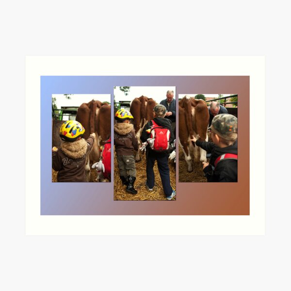 The boys and the cow - triptych Art Print