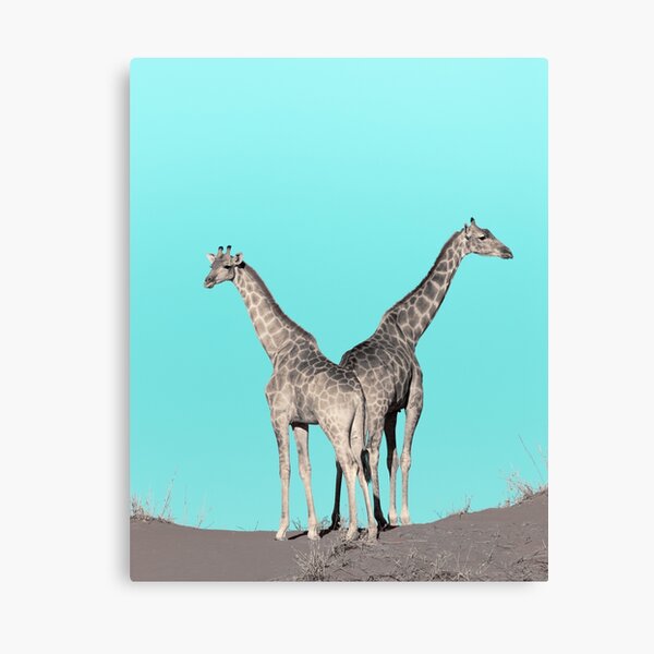 Extravagante Giraffen Leinwanddruck