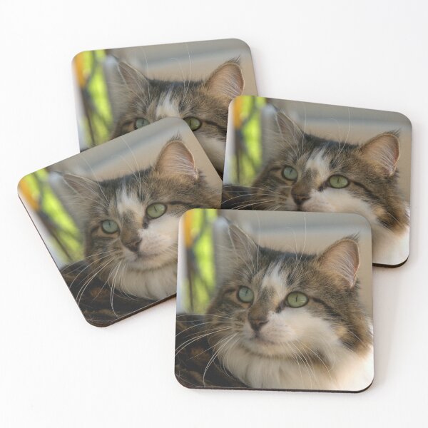 Item preview, "I'm Mattie Girl, and Everyone Falls in Love With Me" designed and sold by K D Graves Photography.