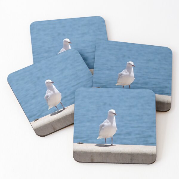 Item preview, 'OOPS'!  A Calling Card! Native Silver Gull, Port Adelaide Wharf. South Australia.  designed and sold by RitaBlom.