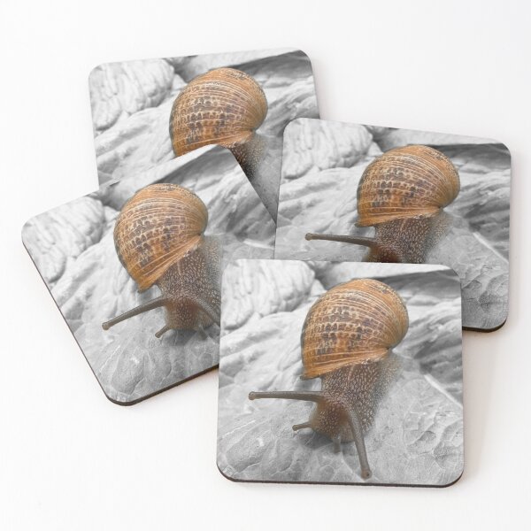 Item preview, Snail designed and sold by DPalmer.