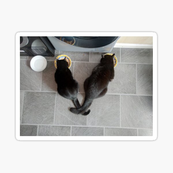 Tails of the unexpected Sticker