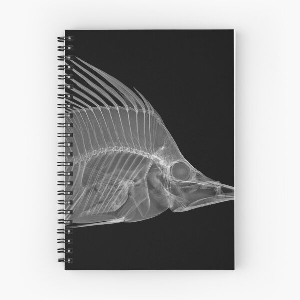 Item preview, Fish designed and sold by Spyinthesky.