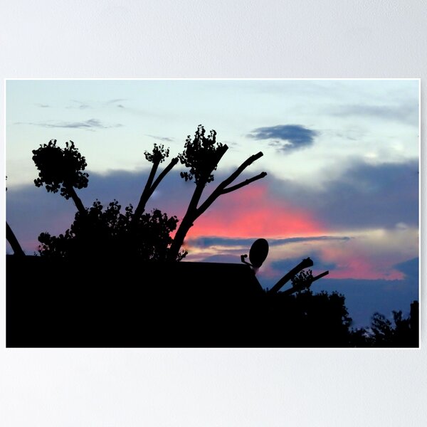 Item preview, Trimmed Cotton Wood, Dish, And Sunset designed and sold by Diane Arndt.