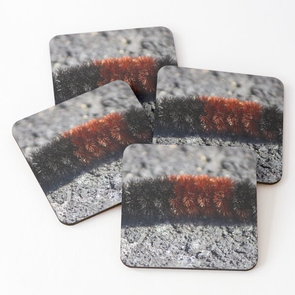 Item preview, Banded Woolly Bear Caterpillar designed and sold by Susie Kramer.