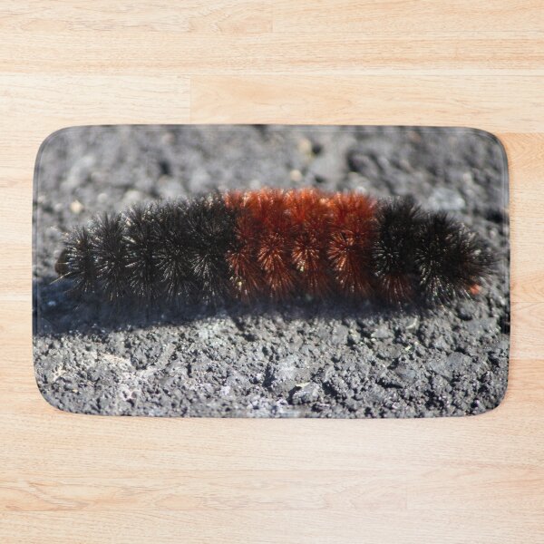 Item preview, Banded Woolly Bear Caterpillar designed and sold by Susie Kramer.