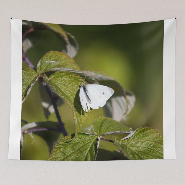 Item preview, Cabbage White Butterfly 2 designed and sold by Susie Kramer.