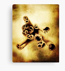 Sticks- Fine Art Photography Canvas Print